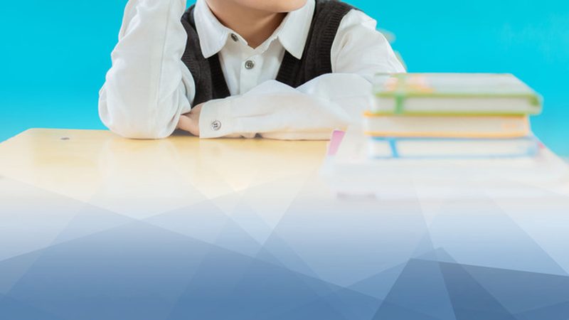 网络课程教学设计，揭秘优质公司的核心要素